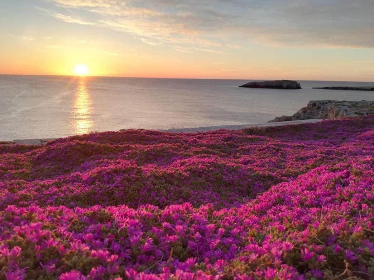 Manfredi Home Polignano a Mare Εξωτερικό φωτογραφία