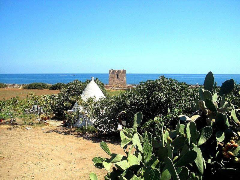 Manfredi Home Polignano a Mare Εξωτερικό φωτογραφία