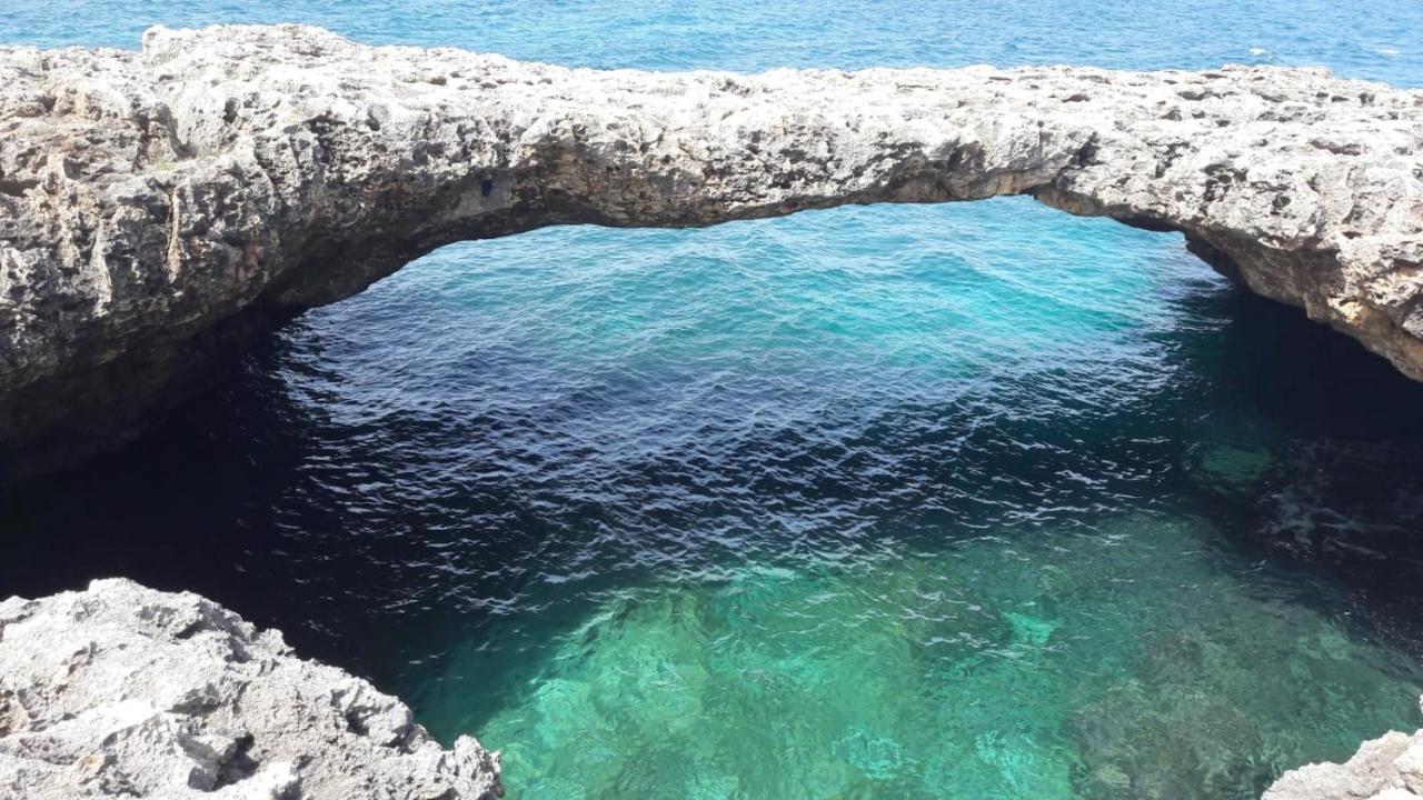 Manfredi Home Polignano a Mare Εξωτερικό φωτογραφία